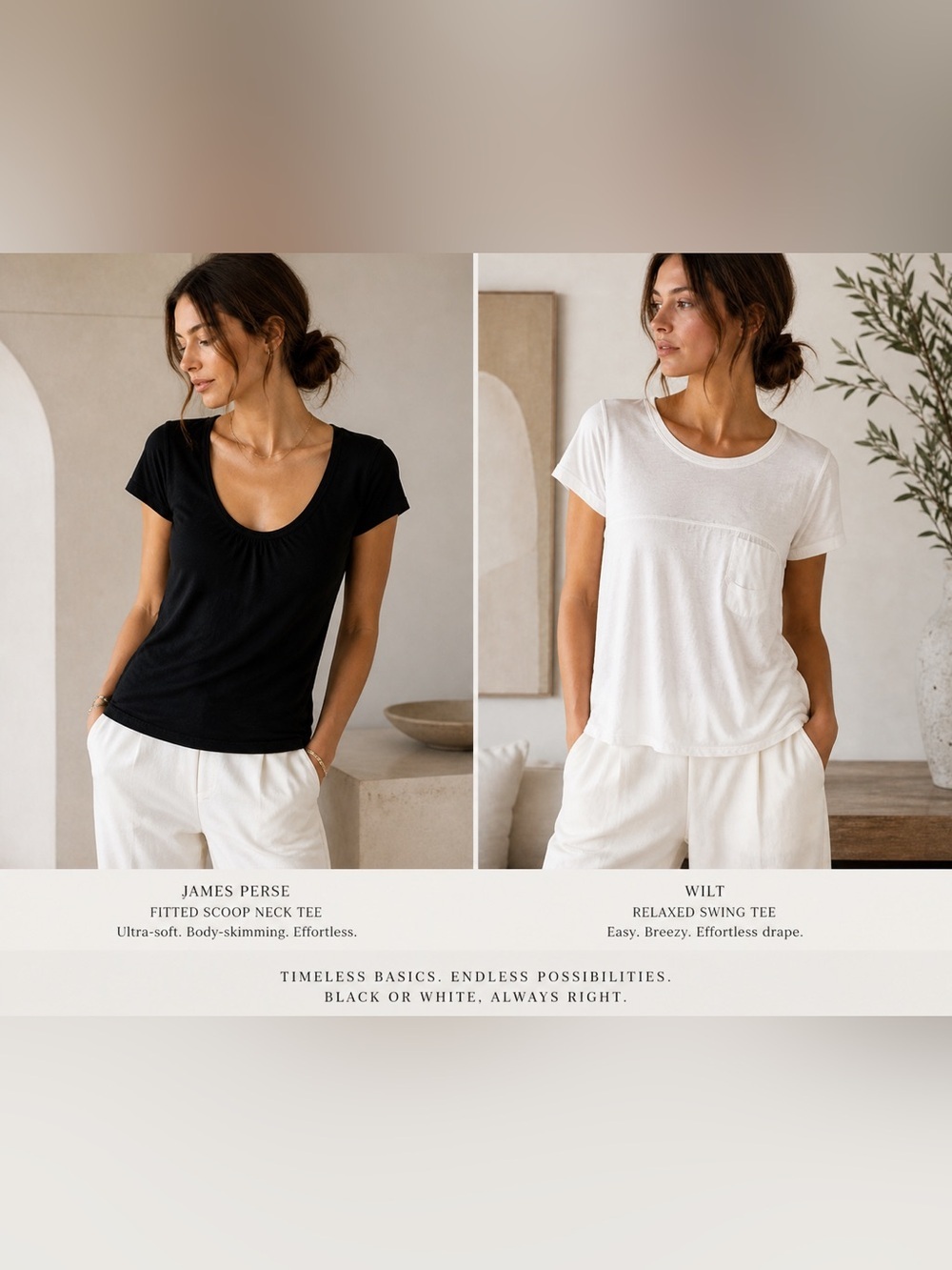 B/W Tee Duo-James Perse Wilt minimalist basics tee bundle XS